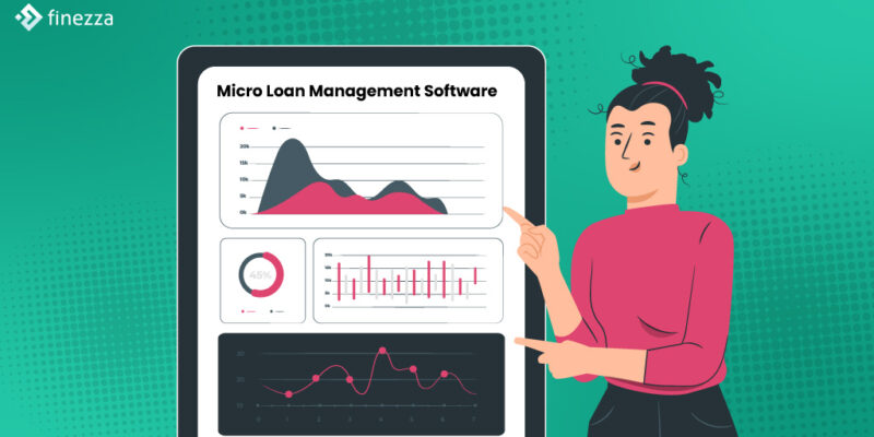 Microloan management software